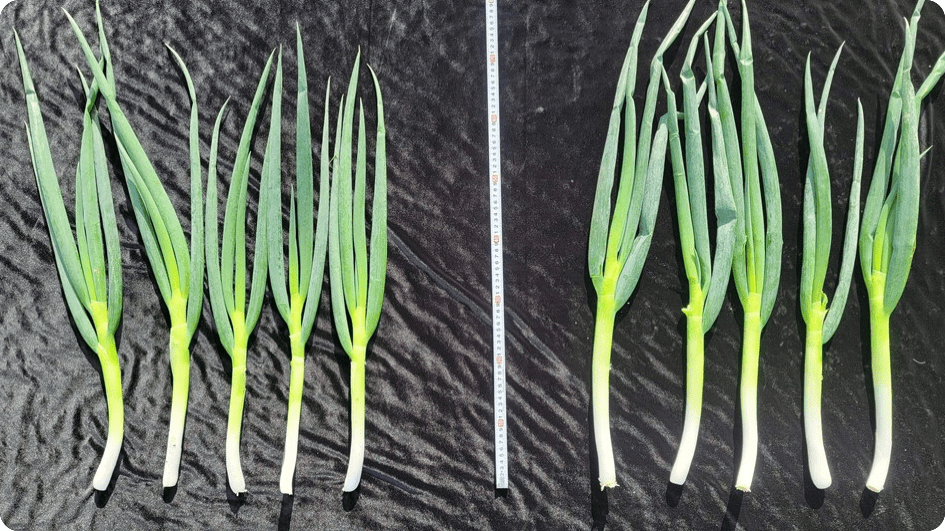 [사진=㈜화산엔지니어링]